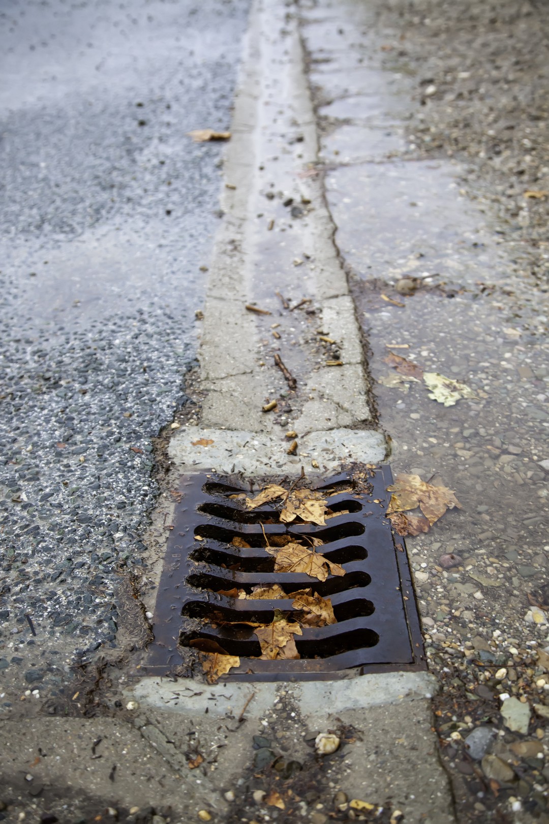 street drain with some leaf debris in it